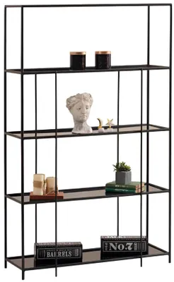 Image de Bibliothèque moderne avec structure en métal noir et étagères en verre