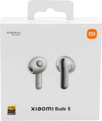 Productafbeelding van Xiaomi Buds 5, titaniumgrijs