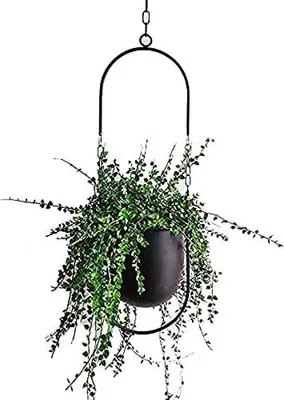 Produktbild von Hängende Dekoration Topf Metall Boho Hängekorb Decke Hängende Pflanzer für Zimmerpflanzen Sukkulenten Luftpflanzen Kaktus (Schwarz)