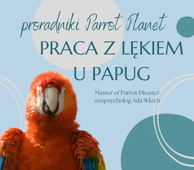 Zdjęcie produktu dla Poradnik ParrotPlanet - PRACA Z LĘKIEM U PAPUG - Poradnik Początkującego Papuziarza