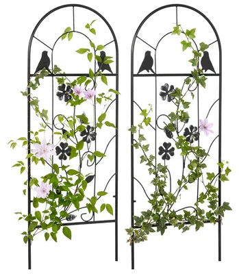Productafbeelding van Set van 2 metalen klimrekken met vogel- en klaverdecoratie, voor tuin en terras, zwart, 38 x 98 cm