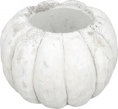 Produktbild von Kokos Topf Ø 15-17cm | Weiße Deko Kokosnuss