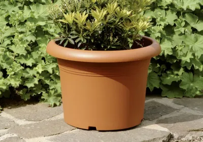 Produktbild von Floraworld Pflanztopf Mediterraneo Ø 30 cm