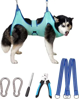 Produktbild von Famanu Pflegehammock für kleine und mittelgroße Hunde bis 40 kg - Komfortabel und sicher
