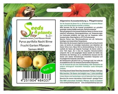 Produktbild von 3x Pyrus pyrifolia Nashi Apfel Birne Kumoi frucht Garten Pflanzen - Samen #442