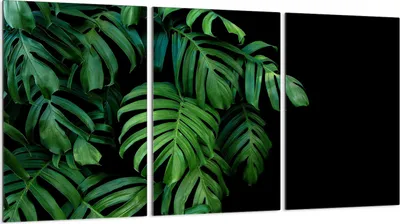 Immagine prodotto di Piastre copriforno 3 pezzi 30x52 Vetro copriforno in Vetroceramica, verde fogliame
