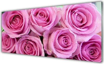 Produktbild von Glasbilder 125x50 Wandbild Druck auf Glas Rosen Pflanzen