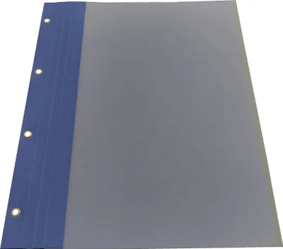 Produktbild von Bilanzmappe blau 100er Pack 4 fach geöst Ösenfarbe gold, mit Folie