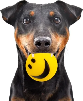 Immagine prodotto di Palla Smiley in vinile Happy Pet