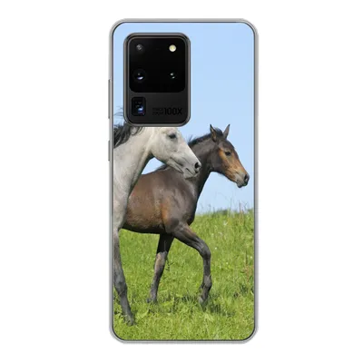 Produktbild von MuchoWow® Handyhülle Schutzhülle Hülle für Samsung Galaxy S20 Ultra Pferde - Tiere - Gras Silikon Softcase Handy Hülle - Karteninhaber