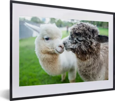 Produktbild von MuchoWow® MuchoWow® Gerahmtes Poster Liebe - Alpaka - Stofftier 40x30 cm - Poster mit zchwarzem Bilderrahmen - Bilderrahmen - Poster im Rahmen