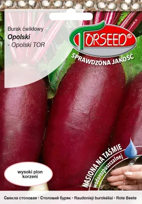 Zdjęcie produktu dla Nasiona buraka ćwikłowego 100 sztuk - Torseed