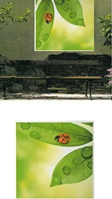 Produktbild von Motiv ideal zur Platzierung an Wänden im Garten oder Terrassen und weiteren Möglichkeiten der Deko rund ums Haus 100 x 100 cm
