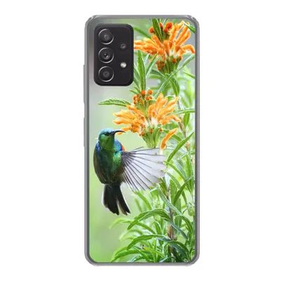 Produktbild von MuchoWow® Handyhülle Schutzhülle Hülle für Samsung galaxy a73 Nahaufnahme eines bunten Vogels neben Pflanzen mit orangefarbenen Blüten Silikon Softcase Handy Hülle - Handyhülle
