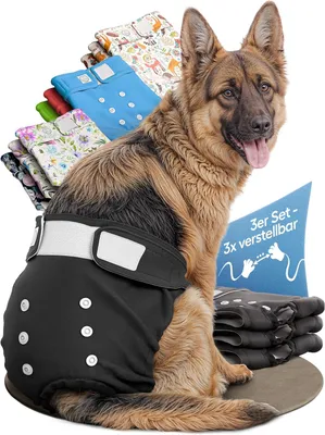 Image de Couche pour chiennes - lavable - réglable - réutilisable