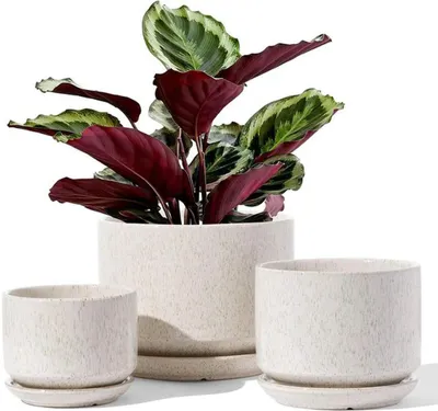 Produktbild von Keramische Blumenpotten Set mit Untersetzer und Abflusslöchern