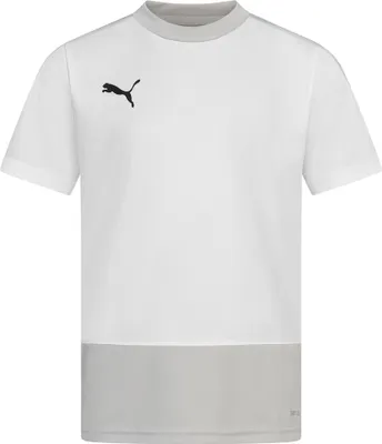 Productafbeelding van 152|PUMA teamGOAL kinder voetbalshirt 656569-04