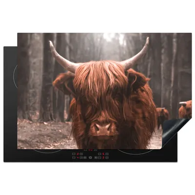 Produktbild von KitchenYeah© Herdabdeckplatte Schottischer Highlander - Tier - Nahaufnahme , 76x51cm, Küche Deko, Glaskeramikkochfeld Herdabdeckung, Abdeckplatte fùr Kochfeld