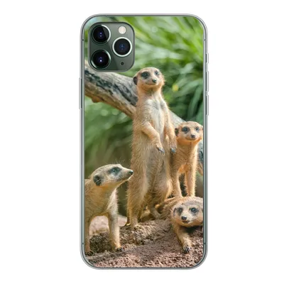 Produktbild von MuchoWow® Handyhülle Schutzhülle Hülle für iPhone 11 Pro Max Familie - Tiere - Erdmännchen Silikon Softcase Handy Hülle - Schutz