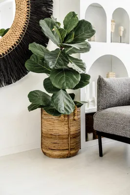 Immagine prodotto di Cesto in rattan Azure S – Elegante e sostenibile