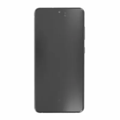 Produktbild von Original Display Samsung Galaxy S21 FE 5G G990 LCD + Rahmen Graphit GH82-26414A