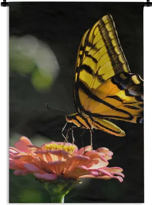 Produktbild von MuchoWow® Wandteppich Wandbehang Schmetterling - Botanisch - Blume 90x135 cm Tapisserie Dekoration Wandtuch - Baumwolle - Wandskulptur