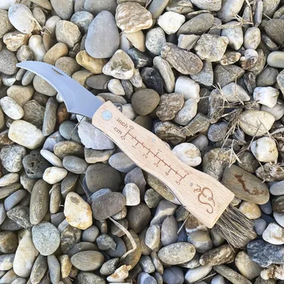 Image de Esschert Design Couteau à champignons avec pinceau ; W4009