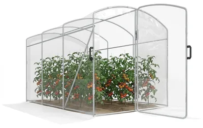 Image de Outsunny Serre en film plastique 3x2x1,95 m Tunnel Serre à tomates étanche au vent