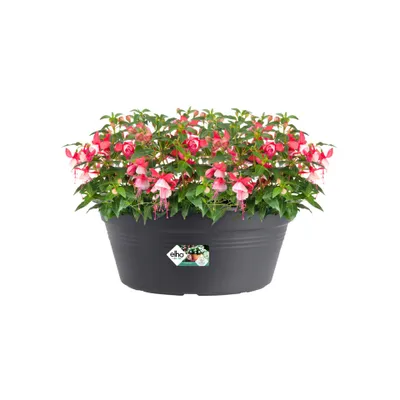Produktbild von elho green basics Schale 38cm - lebhaft schwarz