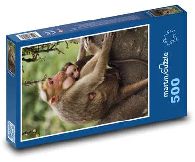 Obrázok produktu pre martinpuzzle – Puzzle 500 – Macáka s mládatkom