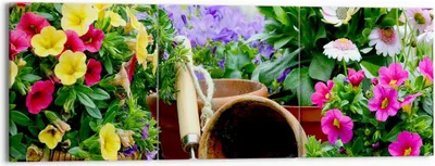 Produktbild von Bild auf Leinwand - Leinwandbild - Pflanzen Garten Frühling Natur - 150x50cm - Wand Bild - Wanddeko - Leinwanddruck - Bilder - Kunstdruck - Wanddekoration - Leinwand bilder - Wandkunst - CA150x50-2682