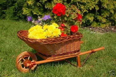 Produktbild von Schubkarre in Korbgeflecht, Rattan, Körbe, Pflanzkorb, Pflanzkarre, Weide, 65 cm