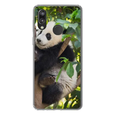Produktbild von MuchoWow® Handyhülle Schutzhülle Hülle für Huawei P20 Lite (2020) Panda - Tier - Baum Silikon Softcase Handy Hülle - Kartenhalter