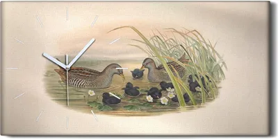 Produktbild von Dekor Leinwand Uhr Wandbilder Geräuschlos 60x30 Vögel Wild Tiere Zeichnung Kunst - weiße Hände
