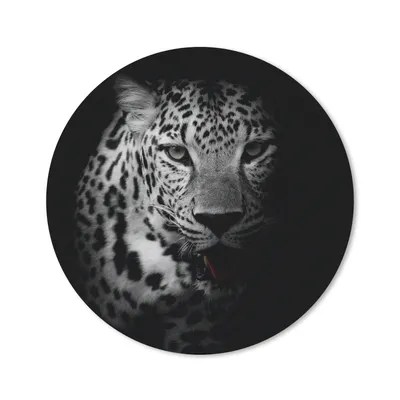 Produktbild von MuchoWow® Mauspad Mousepad Tiere - Schwarz - Weiß - Panther - Porträt 40x40 cm - Mousepads - Maus Mat - Pad - Mausunterlage - Schreibtisch Accessoires