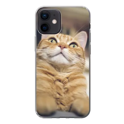 Produktbild von MuchoWow® Handyhülle Schutzhülle Hülle für iPhone 12 Katze - Bank - Orange Silikon Softcase Handy Hülle - Schutzhülle