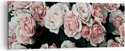 Produktbild von Bild auf Leinwand - Leinwandbild - Einteilig - Rosen Blumen Blätter - 140x50cm - Wand Bild - Wanddeko - Wandbilder - Leinwanddruck - Bilder - Wanddekoration - Leinwand bilder - AB140x50-4760