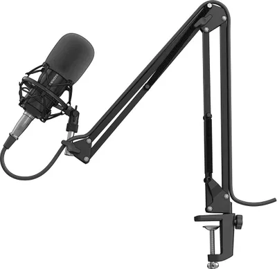 Obrázok produktu pre Genesis Gaming Mikrofon RADIUM 300 XLR