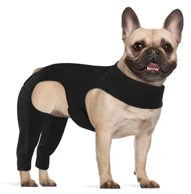 Hunde-Hinterbeinschoner, postoperativ, verstellbar, schwarz, M