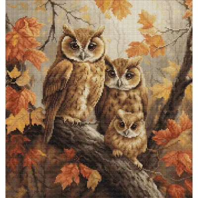 Zdjęcie produktu dla Zestaw do haftu krzyżykowego Luca-S "Rodzina sów", wzór liczony, 27x29cm