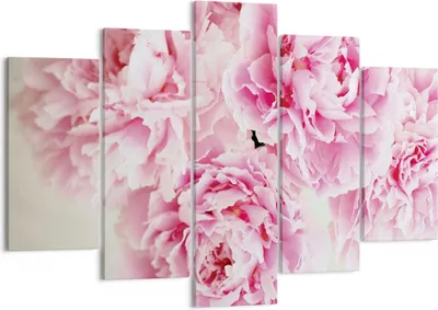 Produktbild von Bild auf Leinwand - Leinwandbild - 5 Teile - Pfingstrosen Blumenstrauß Blumen - 150x100cm - Wand Bild - Wanddeko - Wandbilder - Leinwanddruck - Bilder - Wanddekoration - Leinwand bilder EA150x100-4961