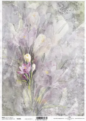 Produktbild von ITD Reispapier Decoupage Bastelpapier Serviettentechnik-R2205 Krokusblüten