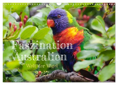 Produktbild von Faszination Australien - Welt der Vögel (Wandkalender 2027 DIN A3 quer), CALVENDO Monatskalender