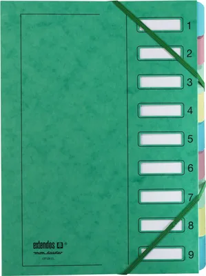 Produktbild von extendos Ordnungsmappe DIN A4 Karton 9 Fächer DIN A4 grün