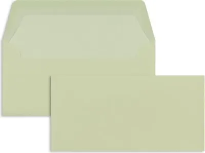 Produktbild von Briefumschläge DINlang 100g/qm gummiert VE=100 Stück chamois