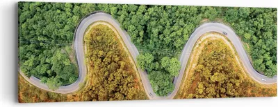 Produktbild von Bild auf Leinwand - Leinwandbild - Einteilig - Luftaufnahmen Weg Wald - 90x30cm - Wand Bild - Wanddeko - Wandbilder - Leinwanddruck - Bilder - Wanddekoration - Leinwand bilder - AB90x30-4659