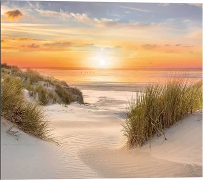 Produktbild von Wandbild - Beige - Orange - Blau - 40 x 50 cm - Beautiful Dunes