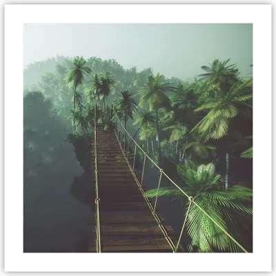 Produktbild von Poster - Poster ohne Rahmen - Dschungel Palme Brücke - 50x50 cm - Wand Bild - Wanddeko - Wandbilder - Kunstposter - Wandposter - Bilder - Kunstdruck - Wanddekoration - Wandbild - P2XAC50x50-3674