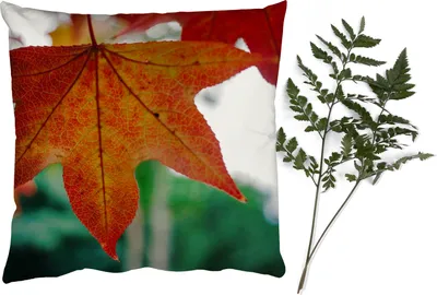 Produktbild von MuchoWow® Zierkissen Sofakissen Wohnzimmer Dekokissen 45x45 cm Herbst - Landleben - Blätter - Jahreszeiten - Landleben - Schlafpolster - Polster für das Sofa