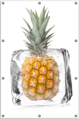 Produktbild von Wallario Outdoor-Poster für Garten oder Balkon, Motiv Ananas in Eiswürfel - Eiskaltes Obst, in ca. 100 x 150 cm